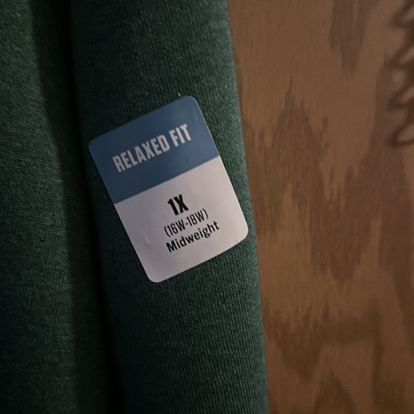 CARHARTT RELAXED FIT MID WEIGHT LOGO HOODIE: GREEN: NEW WITH TAGS: SIZE 1X - Picture 4 of 8